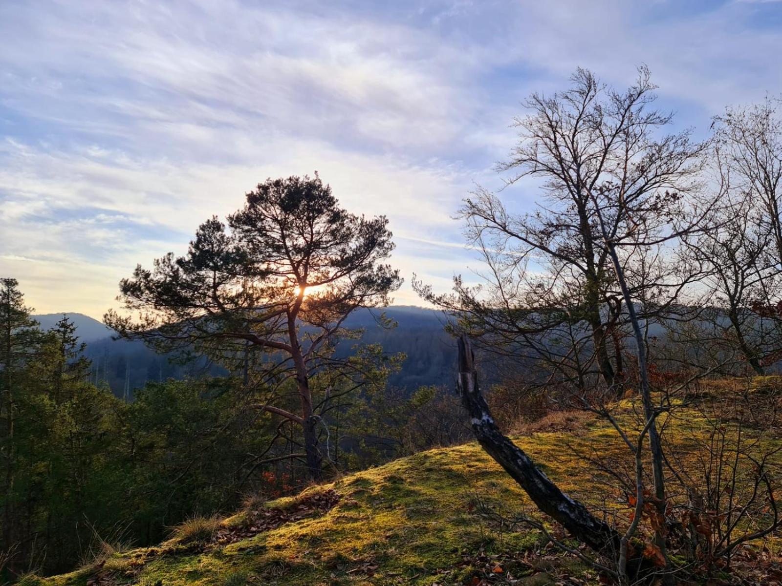Ferienhaus Schoene Aussicht Ferienwohnung Gelb Hemfurth-Edersee Buitenkant foto